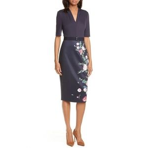 Ted Baker Norraa Fantasia Dress, Size 4